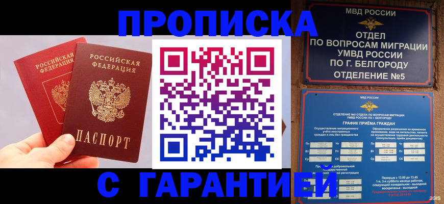 прописка 2025 в Амурске